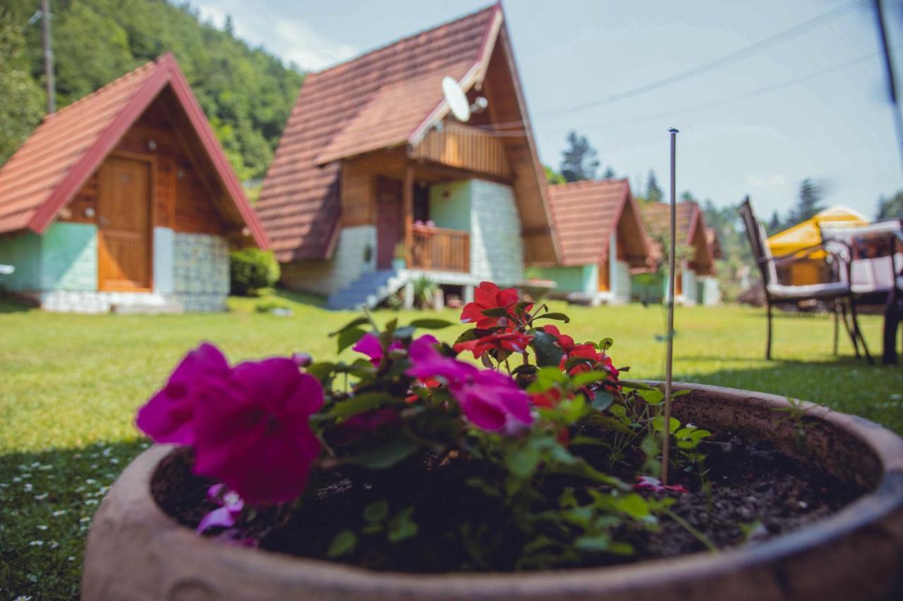 Rafting Kamp Dvije Vrbe 호텔 포차 외부 사진