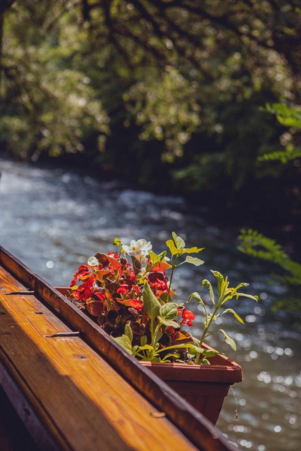 Rafting Kamp Dvije Vrbe 호텔 포차 외부 사진